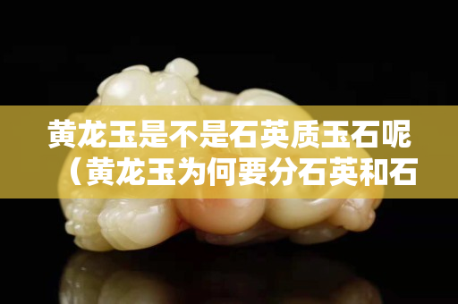 黄龙玉是不是石英质玉石呢（黄龙玉为何要分石英和石英玉）