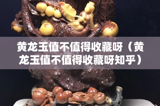黄龙玉值不值得收藏呀（黄龙玉值不值得收藏呀知乎）