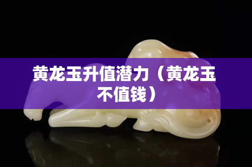 黄龙玉升值潜力（黄龙玉 不值钱）