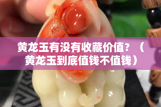 黄龙玉有没有收藏价值？（黄龙玉到底值钱不值钱）