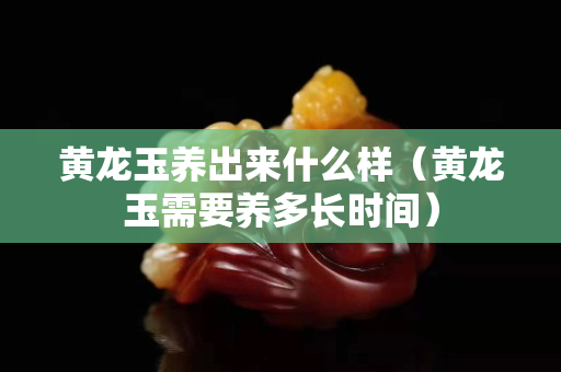 黄龙玉养出来什么样（黄龙玉需要养多长时间）