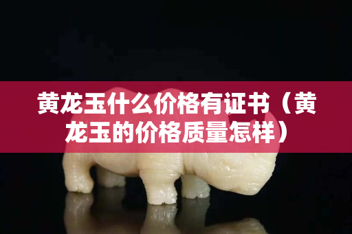 黄龙玉什么价格有证书（黄龙玉的价格质量怎样）