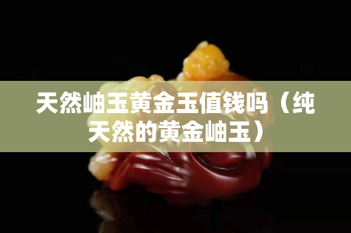 天然岫玉黄金玉值钱吗（纯天然的黄金岫玉）