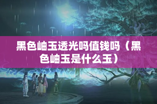黑色岫玉透光吗值钱吗（黑色岫玉是什么玉）