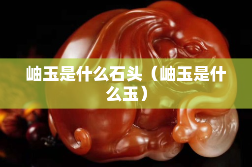 岫玉是什么石头（岫玉是什么玉）