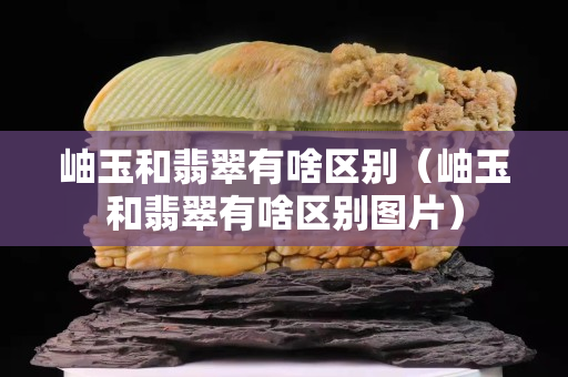 岫玉和翡翠有啥区别（岫玉和翡翠有啥区别图片）