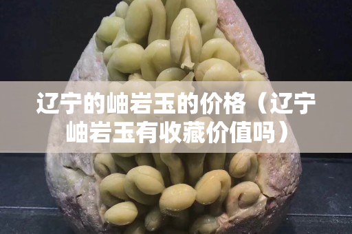 辽宁的岫岩玉的价格（辽宁岫岩玉有收藏价值吗）