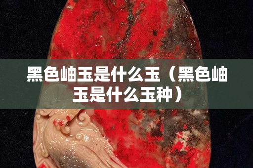 黑色岫玉是什么玉（黑色岫玉是什么玉种）