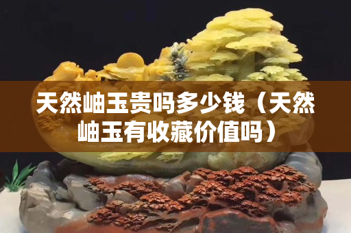 天然岫玉贵吗多少钱（天然岫玉有收藏价值吗）