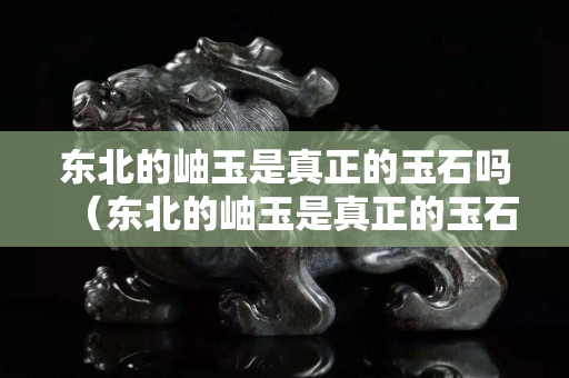 东北的岫玉是真正的玉石吗（东北的岫玉是真正的玉石吗）