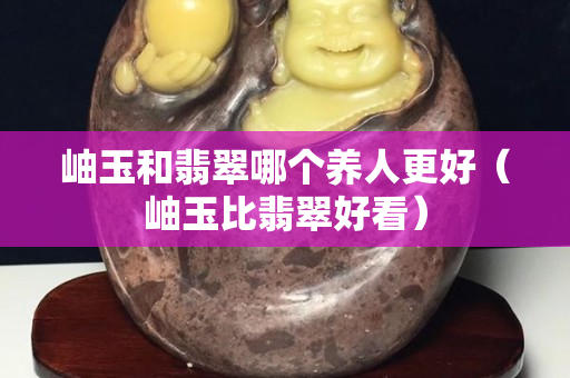 岫玉和翡翠哪个养人更好（岫玉比翡翠好看）