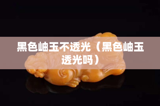 黑色岫玉不透光（黑色岫玉透光吗）