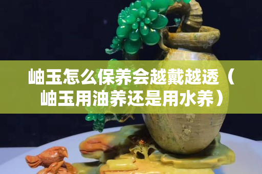 岫玉怎么保养会越戴越透（岫玉用油养还是用水养）