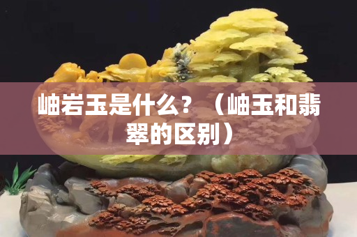 岫岩玉是什么？（岫玉和翡翠的区别）