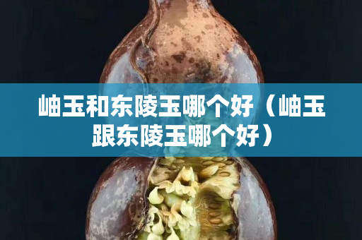 岫玉和东陵玉哪个好（岫玉跟东陵玉哪个好）