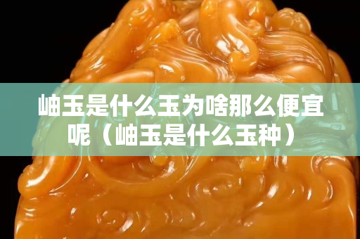岫玉是什么玉为啥那么便宜呢（岫玉是什么玉种）