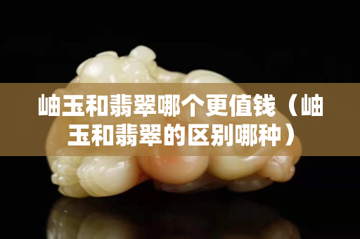 岫玉和翡翠哪个更值钱（岫玉和翡翠的区别哪种）