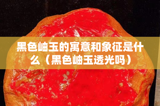 黑色岫玉的寓意和象征是什么（黑色岫玉透光吗）