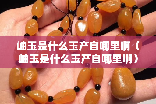 岫玉是什么玉产自哪里啊（岫玉是什么玉产自哪里啊）