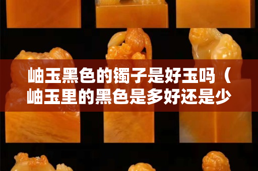 岫玉黑色的镯子是好玉吗（岫玉里的黑色是多好还是少好）
