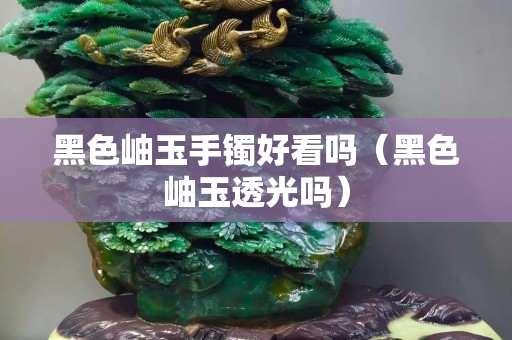黑色岫玉手镯好看吗（黑色岫玉透光吗）