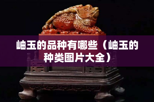 岫玉的品种有哪些（岫玉的种类图片大全）