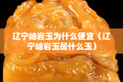 辽宁岫岩玉为什么便宜（辽宁岫岩玉是什么玉）