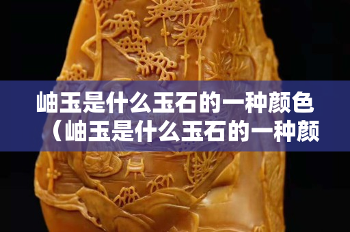 岫玉是什么玉石的一种颜色（岫玉是什么玉石的一种颜色呢）
