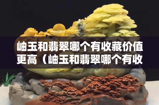 岫玉和翡翠哪个有收藏价值更高（岫玉和翡翠哪个有收藏价值更高些）