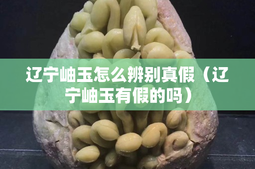 辽宁岫玉怎么辨别真假（辽宁岫玉有假的吗）