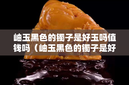 岫玉黑色的镯子是好玉吗值钱吗（岫玉黑色的镯子是好玉吗值钱吗）