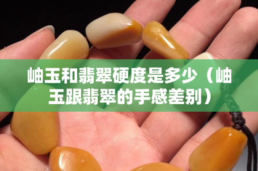 岫玉和翡翠硬度是多少（岫玉跟翡翠的手感差别）