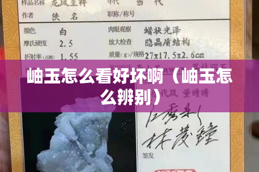 岫玉怎么看好坏啊（岫玉怎么辨别）