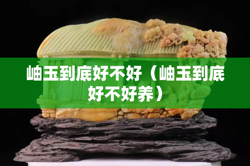 岫玉到底好不好（岫玉到底好不好养）