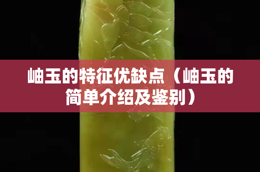 岫玉的特征优缺点（岫玉的简单介绍及鉴别）