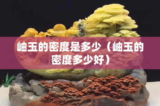 岫玉的密度是多少（岫玉的密度多少好）