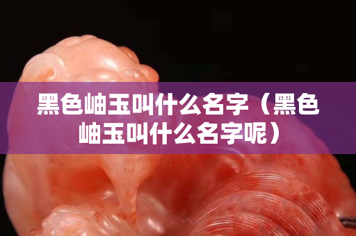 黑色岫玉叫什么名字（黑色岫玉叫什么名字呢）