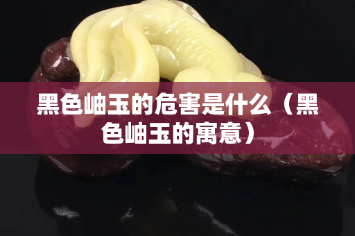 黑色岫玉的危害是什么（黑色岫玉的寓意）