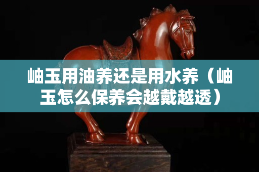岫玉用油养还是用水养（岫玉怎么保养会越戴越透）
