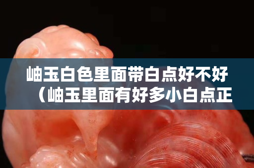 岫玉白色里面带白点好不好（岫玉里面有好多小白点正常吗？）