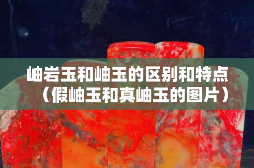 岫岩玉和岫玉的区别和特点（假岫玉和真岫玉的图片）