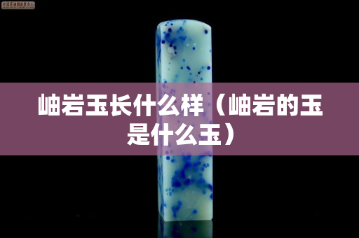 岫岩玉长什么样（岫岩的玉是什么玉）