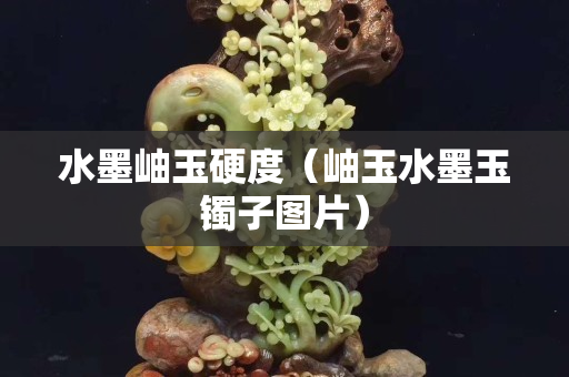 水墨岫玉硬度（岫玉水墨玉镯子图片）