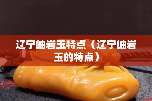 辽宁岫岩玉特点（辽宁岫岩玉的特点）