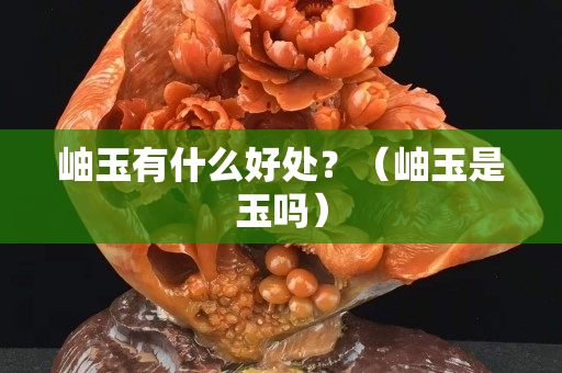 岫玉有什么好处？（岫玉是玉吗）