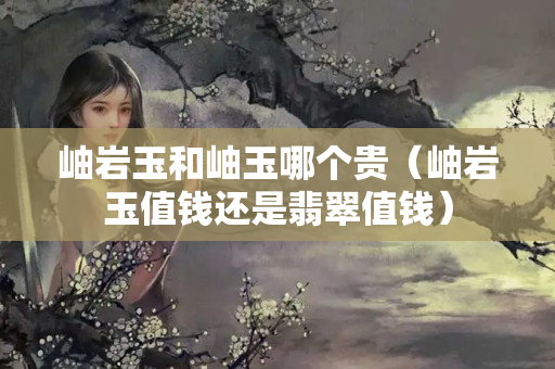 岫岩玉和岫玉哪个贵（岫岩玉值钱还是翡翠值钱）