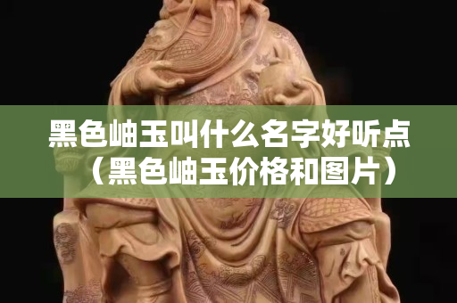 黑色岫玉叫什么名字好听点（黑色岫玉价格和图片）