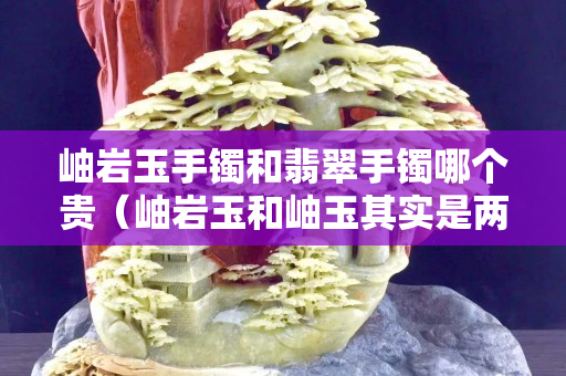 岫岩玉手镯和翡翠手镯哪个贵（岫岩玉和岫玉其实是两码事）