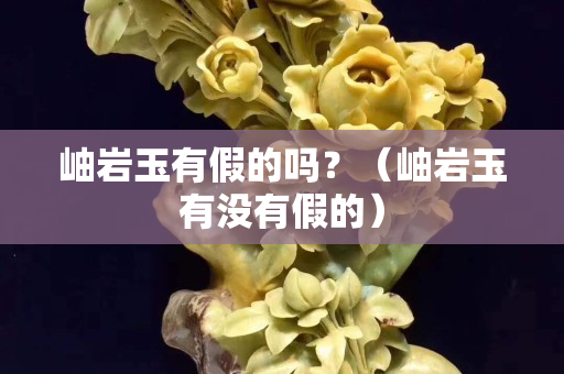 岫岩玉有假的吗？（岫岩玉有没有假的）
