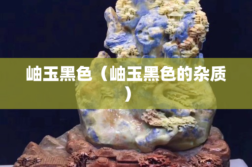 岫玉黑色（岫玉黑色的杂质）